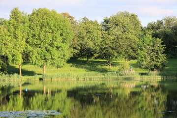 Obraz premium Blick auf den See 