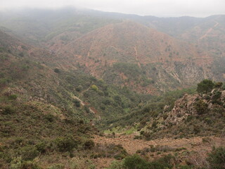 Naklejka premium Sierra de las Nieves National Park (Tolox, Province of Málaga, Andalusia, Kingdom of Spain)