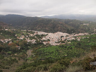 Sierra de las Nieves National Park (Tolox, Province of Málaga, Andalusia, Kingdom of Spain)