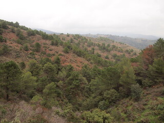 Sendero Río de los Horcajos (Tolox, Province of Málaga, Andalusia, Kingdom of Spain)