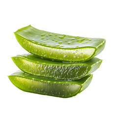 Fresh Aloe Vera Slices Isolated Black Background Natural Plant Healthy Juicy Green Herbal Medicine  
