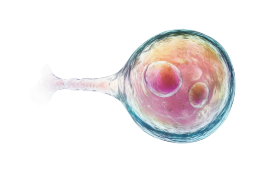 Unique close-up view of a cell with multiple nuclei exhibiting vibrant colors in a scientific environment