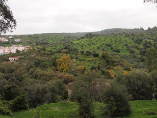 Obraz premium Tolox (Province of Málaga, Andalusia, Kingdom of Spain)