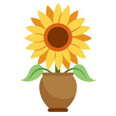 sunflower in a pot
