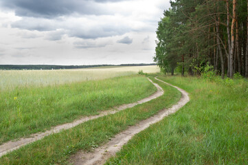 The road passes near the forest.