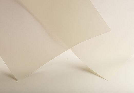 Translucent vellum paper background with creamy beige layering and a matte, smooth texture. Soft shadows and an ethereal design create a refined, delicate, and elegant aesthetic. - Powered by Adobe