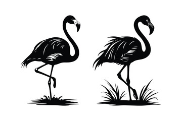 Flamingo Silhouette Illustration with Grass Design
