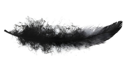 Fototapeta premium Ethereal Black Feather Close-Up Capturing Delicate Softness and Natural Beauty