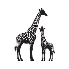 Baby giraffe next to its parent silhouette vector illustration clipart black color design and solid white background
