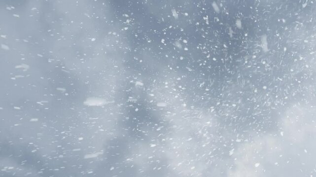 View of snowflakes falling in a very windy storm