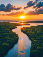 Fototapeta premium Sunset over coastal mangrove restoration project enhancing biodiversity