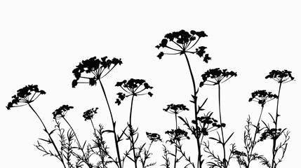 Naklejka premium Yarrow Silhouette Vector Illustration on Black Background