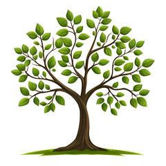 Obraz premium Vibrant Green Tree with Leaves in Peaceful Outdoor Garden Setting