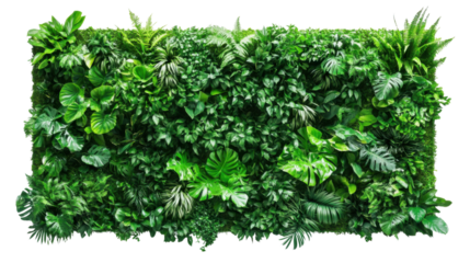 Green plant wall panel transparent background