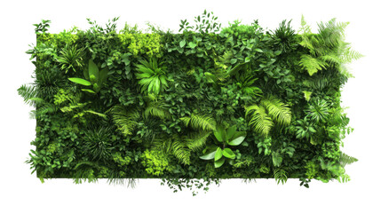 Green plant wall panel transparent background