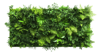 Green plant wall panel transparent background