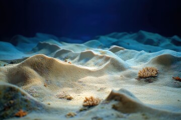 Vibrant underwater photo of shallow reef with sand dunes corals and soft ambient lighting capturing ecosystems diversity and tranquility
