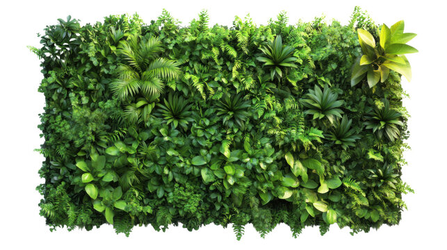 Green plant wall panel transparent background - Powered by Adobe
