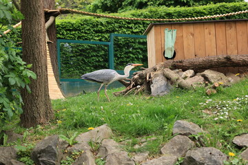 Impressionen aus einem Tierpark in Nordrhein-Westfalen