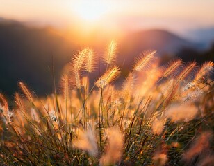 Generated image Soft focus of grass flowers with sunset light, peaceful and relax natural beauty, spring