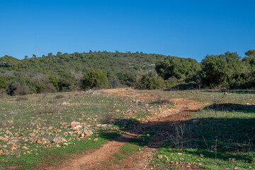 A path through Mount Carmel Nature Reserve and National Park near Beit Oren with trees and blue skies.
