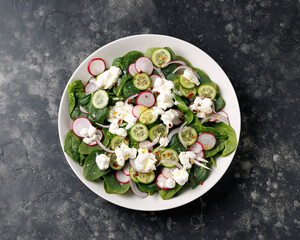 Spinach cottage cheese salad with radish, cucumber and red onion, Healthy food