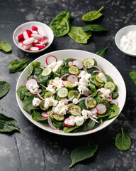 Spinach cottage cheese salad with radish, cucumber and red onion, Healthy food