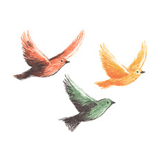 Obraz premium Whimsical Flying Birds Hand-Drawn Colorful Art Illustration