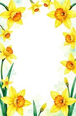 Obraz premium Vertical card with yellow daffodils on a white background with space for an inscription in the center. Women's day concept.