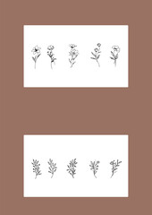Flowers drawn by hand line, logo for design, on white background, Mocha Mousse colors - Pantone colors of 2025

