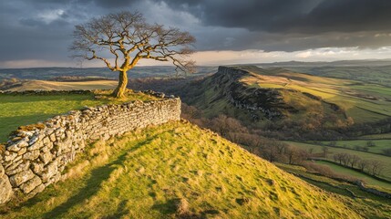 Lone Tree Stands on Ancient Wall Overlooking Valley