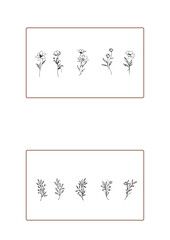Flowers drawn by hand line, logo for design, on white background, 