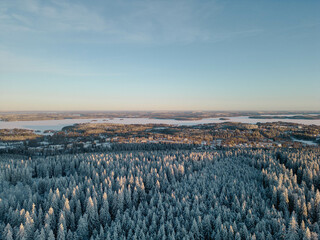 winter landscape with snow