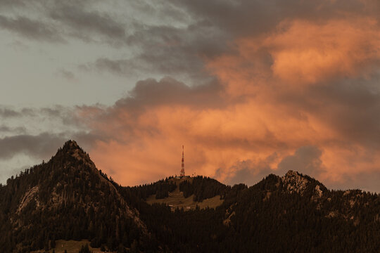 Gr&uuml;nten Blick