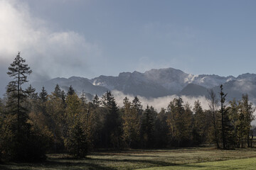 Herbstnebel im Allgäu