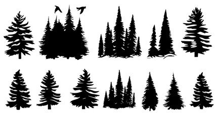 Obraz premium Wildlife forest trees silhouettes. black tree vector on white background