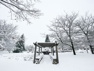 Winter landscape.