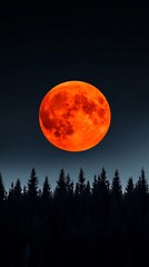 A full moon is seen in the sky above a forest