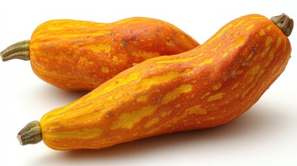Two Orange Yellow Striped Gourds Resting Together