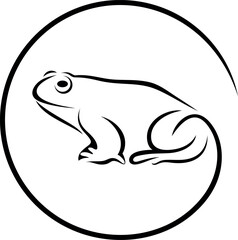 Frog outline. Abstract frog on white background. Bufo Common European Toad