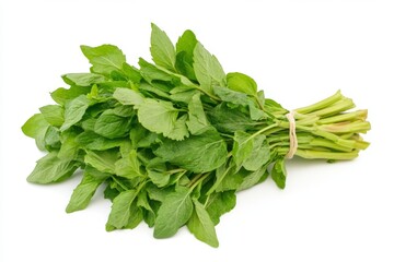 Obraz premium Fresh Mint Bunch - Vibrant Green Herb