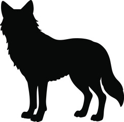 Apenninewolf  line arts with white background