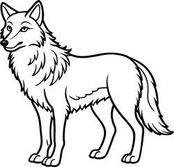 Apenninewolf  line arts with white background