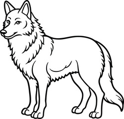 Apenninewolf  line arts with white background