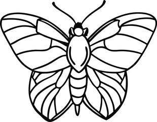 Apple moth  line arts with white background. 
