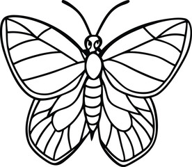 Apple moth  line arts with white background. 