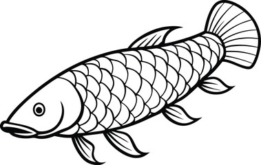 Arapaima line arts with white background 