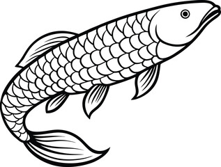 Arapaima line arts with white background 