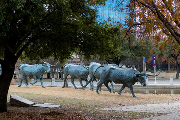 Long horn cattle statues at Pioneer Plaza public park In Dallas, Texas. © SNEHIT PHOTO