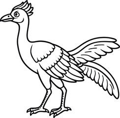 Archaeopteryx line arts with white background. Archaeopteryx Line Art, Black and White Cartoon Dinosaur Illustration